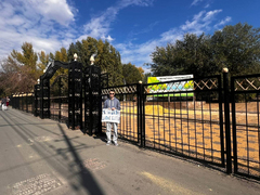 В Саратове прошли одиночные пикеты за строительство школы в сквере Территория детства