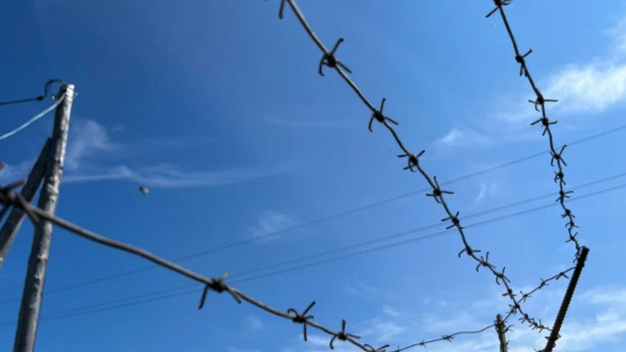 В Саратовской области пару отправили в колонию за помощь мигрантам-нелегалам