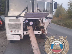 В Вольске женщина и девочка пострадали в ДТП с маршруткой
