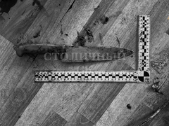 170 ударов топором, утюгом и ножом: спор о футболисте из Саратова закончился жестоким убийством инвалида