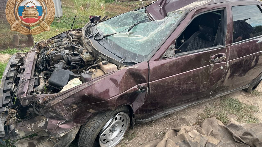 В Саратовской области Mercedes слетел с дороги и сгорел