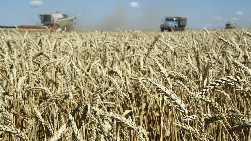 В Саратовской области собрали 4,5 миллиона тонн зерна