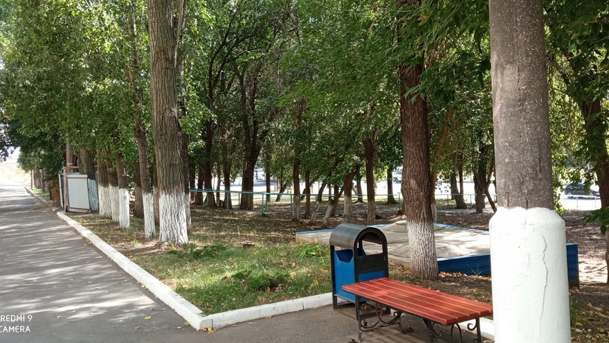 В Саратове банк выставил на продажу сквер под застройку