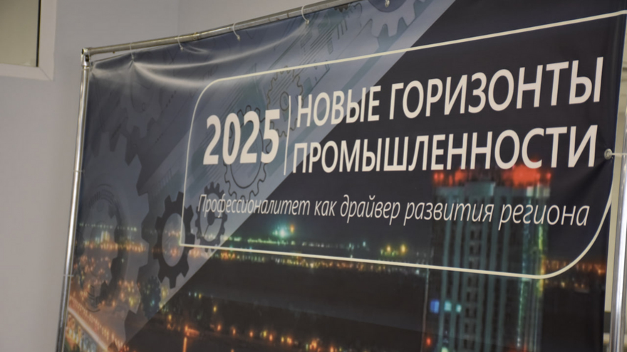 Диалог власти и бизнеса: Профессионалитет как драйвер развития