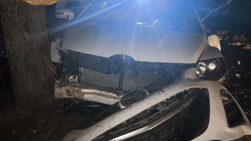 Под Вольском Mazda врезалась в дерево