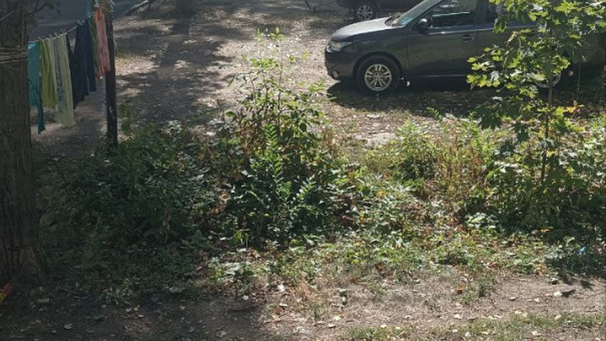 Самозахват!: читательница пожаловалась на парковку у детской площадки в Саратове