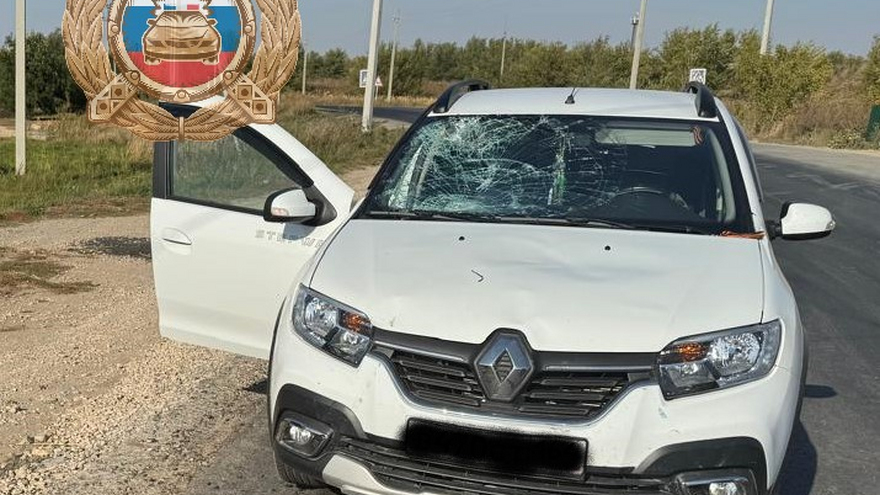 В Горном иномарка сбила велосипедиста