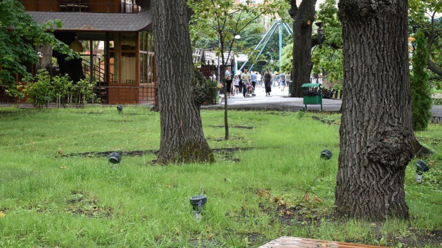 В городском парке Саратова собираются создать всю необходимую инфраструктуру