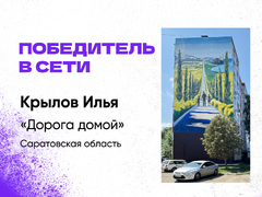 Саратовское граффити Дорога домой признали лучшим в сети на фестивале ФормАРТ