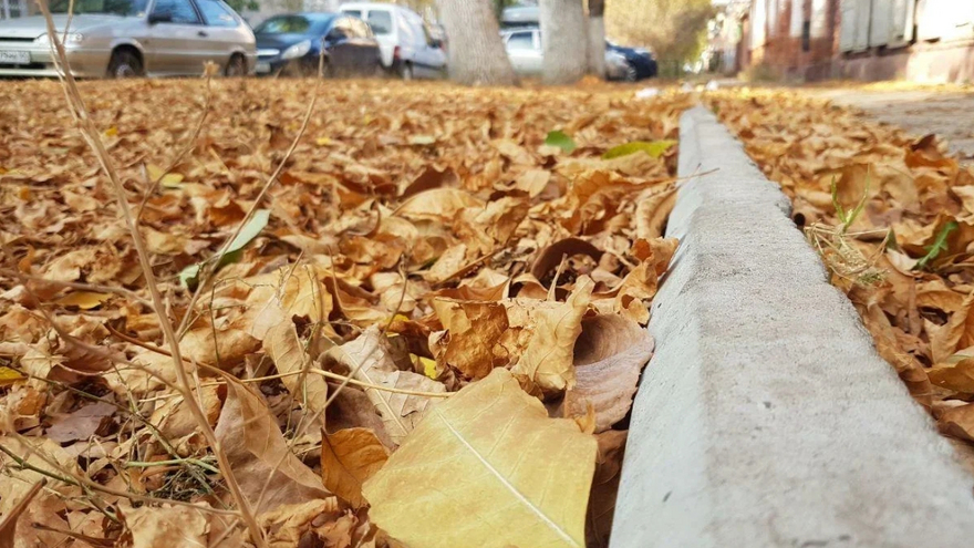 Погода в Саратовской области: прохлада, возможны дожди