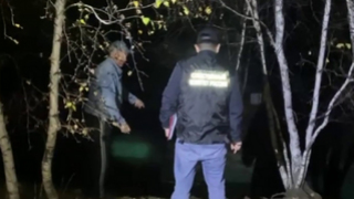 В Забайкальском крае олень насмерть забодал сотрудника зоопитомника