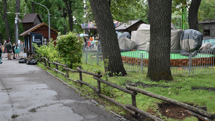 В городском парке Саратова обещают создать безопасную пешеходную сеть