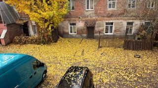 Погода в Саратовской области: тепло в четверг