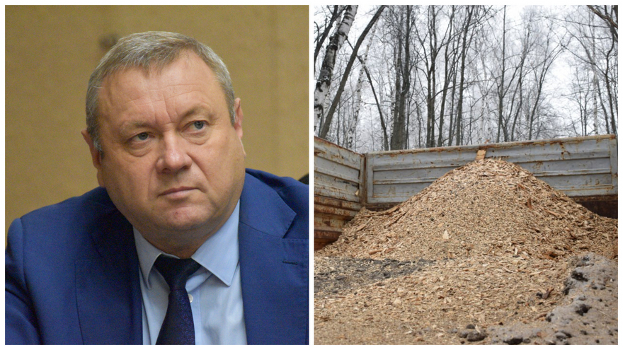 Министр Доронин: население Саратовской области нуждается в щепках