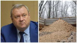 Министр Доронин: население Саратовской области нуждается в щепках