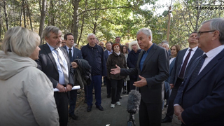 В семь раз дороже: Володин отчитал саратовских чиновников за закупку саженцев в Москве