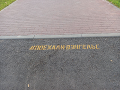 В Энгельсе открылся туристический трек с бычками: их трут, чтобы вдохновиться и преуспеть в бизнесе