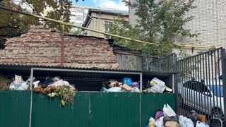 В центре Саратова несколько дней не вывозят мусор