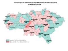 В январе-июле в Саратове насчитали 15 убийств