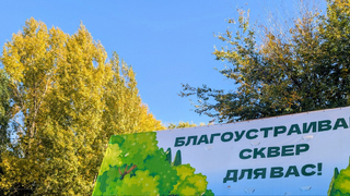 В парке Территория детства высадят более 200 деревьев и кустарников
