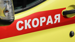 В Саратове пьяного мужчину нашли под спиленным деревом