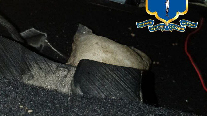 В Саратовской области поймали межрегионального наркокурьера: у него нашли 1,1 кг синтетики