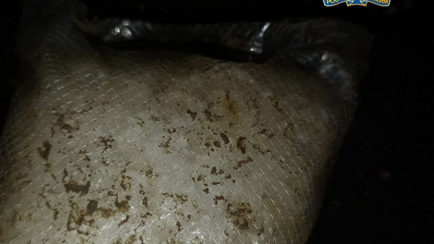 В Саратовской области поймали межрегионального наркокурьера: у него нашли 1,1 кг синтетики