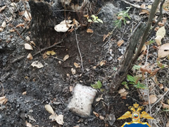 В Саратовской области поймали межрегионального наркокурьера: у него нашли 1,1 кг синтетики