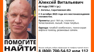 В Энгельсе разыскивают лысого мужчину в полосатой кофте