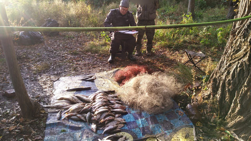 В Саратовской области у рыбаков изъяли 120 килограммов улова