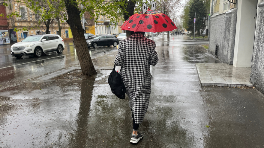 В Саратовской области ждут дождливые выходные