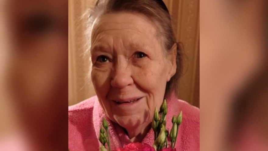 Саратовские волонтеры в ночь выдвинулись на поиски 81-летней женщины: она нуждается в медпомощи 