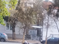 Читательница: в саратовском сквере деревья посадили прямо над теплотрассой