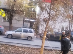 Читательница: в саратовском сквере деревья посадили прямо над теплотрассой