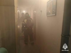 В Саратове из горящей девятиэтажки спасли 22 человека