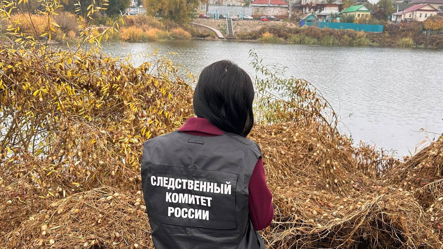 В Пугачеве из реки у парка выловили труп рыбака