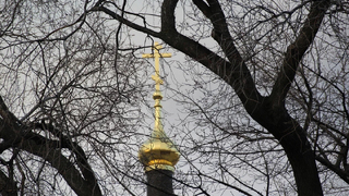 Погода в Саратовской области: дожди во вторник