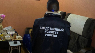 В Саратове пьяная пенсионерка убила сына подушкой за пристрастие к алкоголю