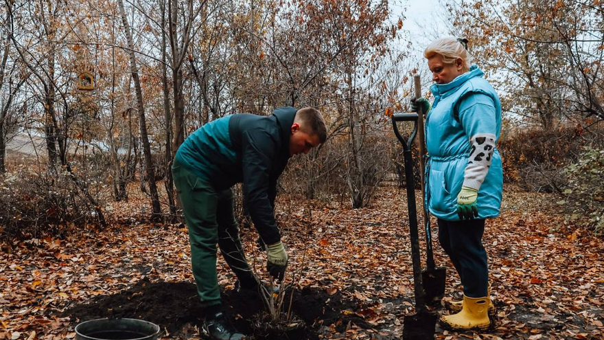 В сквере Территория детства высаживают деревья и кустарники