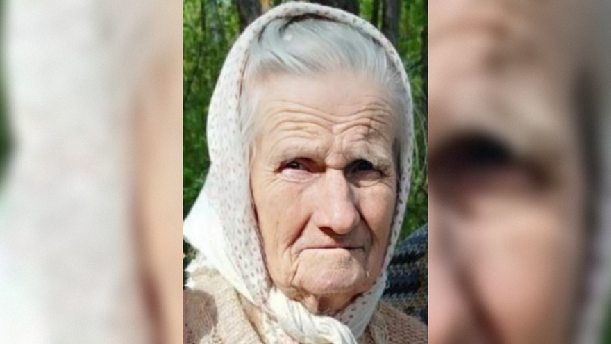 Саратовские волонтеры выдвинулись в лес на поиски 97-летней пенсионерки
