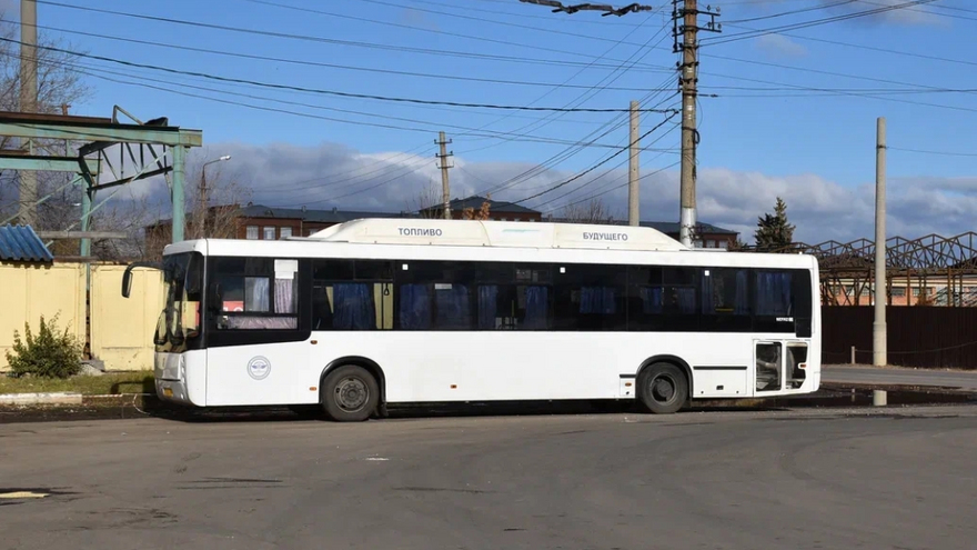 Из Саратова пустят автобусы в Донецк