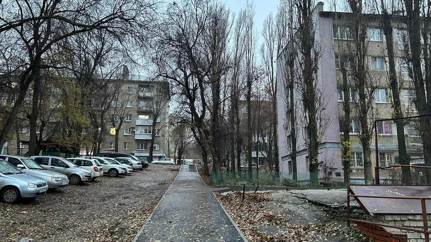 Погода в Саратовской области: прохладный ноябрьский четверг