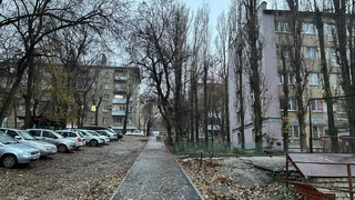 Погода в Саратовской области: прохладный ноябрьский четверг