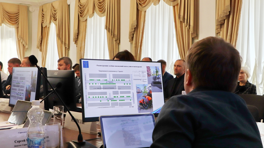Депутаты оценили работу по озеленению Саратова