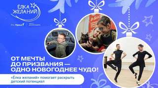 Глава Захаров призвал балашовцев поучаствовать в Елке желаний