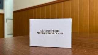 В Саратовской области упростили оформление удостоверений для многодетных семей