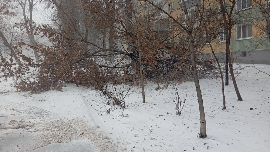 Упавшие деревья и заборы, разбитые автомобили, оборванные провода: Саратов накрыло штормом