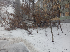 Упавшие деревья и заборы, разбитые автомобили, оборванные провода: Саратов накрыло штормом