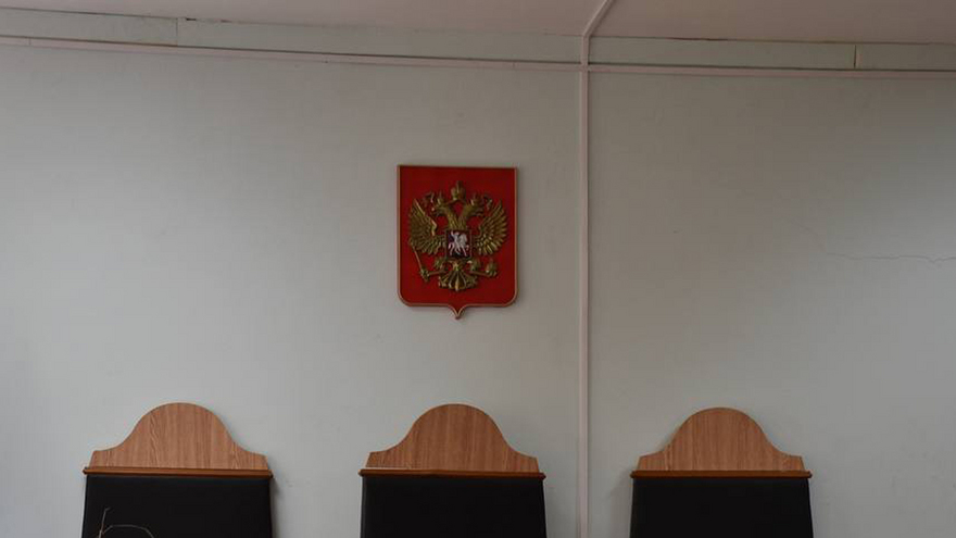 Верховный суд лишил Ларису Долину права на квартиру за 112 млн