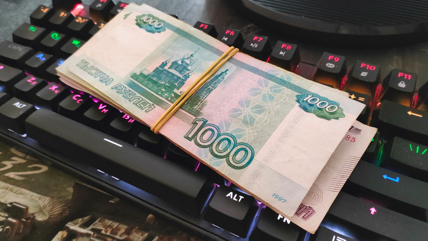 В Саратовской области насчитали 185 тысяч самозанятых и 57 тысяч ИП